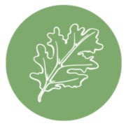 abraskitchen.com
