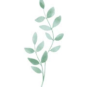 serenetrail.com